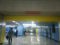 -大龙山(地铁站)