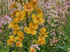 -中国天府农业博览园