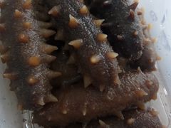 -宫品海参专卖店(黄浦老西门店)