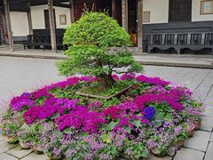 -宝光寺