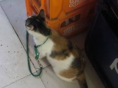 -老丘丘(较场口店)