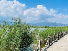 -野鸭湖国家湿地公园