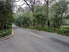 -南京东郊国宾馆