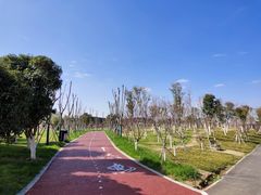 -瑶湖郊野森林公园