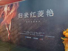 -重庆国泰艺术中心