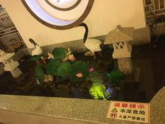 -杨记隆府(南坪店)