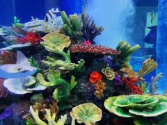 -成都浩海立方海洋公园