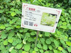 -广州神农草堂中医药博物馆