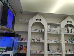 -特一安24小时宠物医院·骨科·中兽医