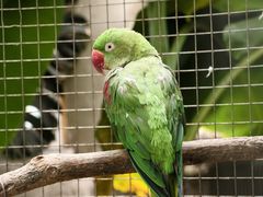 -大连森林动物园