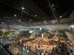 -自贡恐龙博物馆