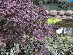 -古茗(义蓬购物中心店)