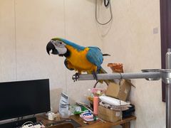 -观桥阁(锦溪店)