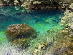 -叠溪松坪沟景区