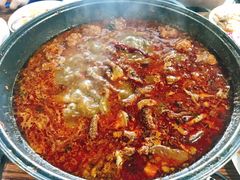 -老红桥炸灌肠牛肚锅烧烤(定福庄店)