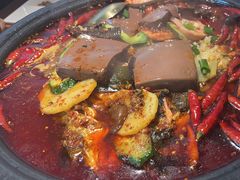 -探鱼·鲜青椒爽麻烤鱼(领展购物广场店)