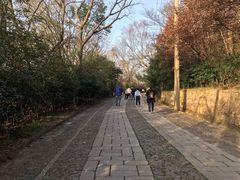 -紫金山天文台