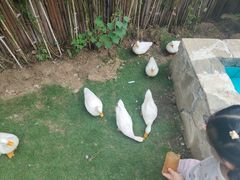 -HERRE·FARM 赫尔露营农场·团建聚会包场