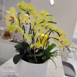 点击看大图 -PE SALON