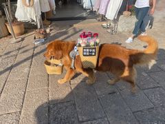 -南诏风情岛