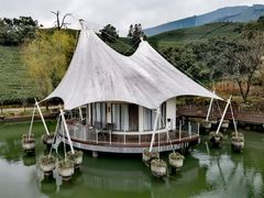 -帐篷客·溪龙茶谷度假酒店