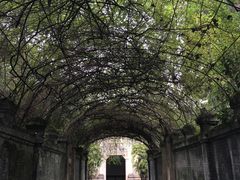 -苏板鸭