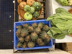-大唐靓汤江门私房菜(景田店)