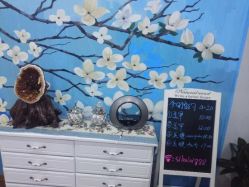 -scarlet斯卡莱美容护理机构