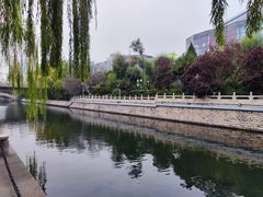 -泉城广场