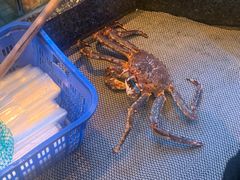 阿拉斯加蟹-协成海鲜火锅(情侣路店)