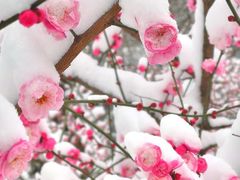 -孙家面馆(健康西路店)