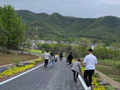 -藏龙百瀑风景区