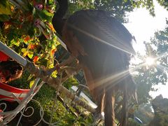 -辛玛王国游乐园