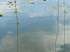 -翠湖公园