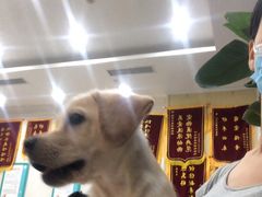 -谐和贝康宠物医院24小时·宠保定点(急重症转诊中心)