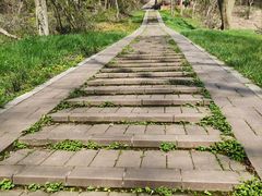 -青龙山国家森林公园