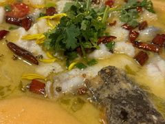 -花溪雨·森林餐厅(石基店)