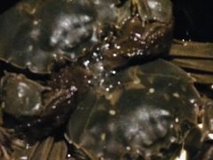 -荣誉国际酒店-云顶旋转餐厅