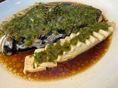 得莫利炖淳牌千岛湖有机大鱼头-一轩饺子馆(丽都店)