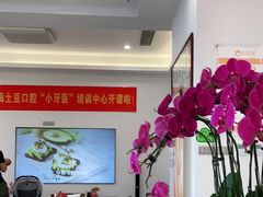 -土豆口腔(凤凰北总店)