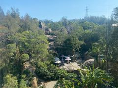 -厦门园林植物园-植物园滴水山房
