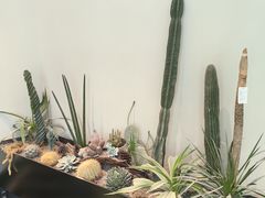 -J Create城市露营咖啡·简餐·宠物(上海动物园店)