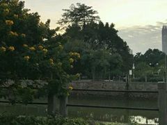 -晓港公园