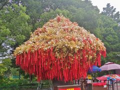 -狼山风景名胜区