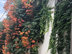 -原怡园面馆(拙政园店)