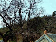 -潭柘寺景区