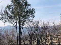 -香山公园