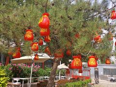 -中卫御苑福膳·养生局(圆明园店)