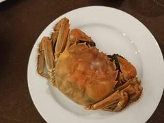 -安蒂娅·海鲜自助餐厅(安蒂娅美兰酒店)