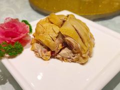 白斩鸡-利鸿私宴(南京路步行街店)